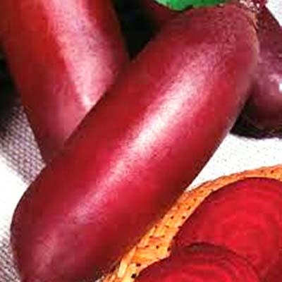 Семена Свекла Florium Опольский столовая (9162)