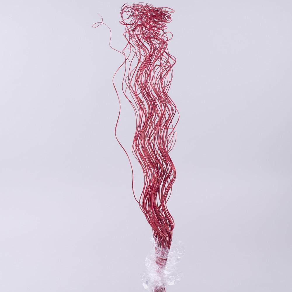 Сухоцвет ветки спиральки Красный (4561-6)