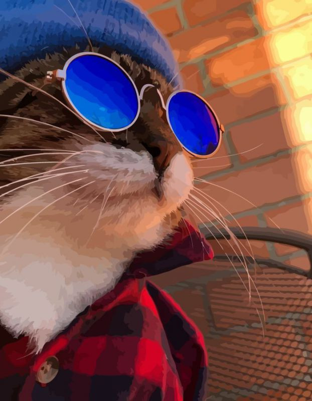 Картина по номерам Rosa Кот в очках 35х45 см (N00013217)