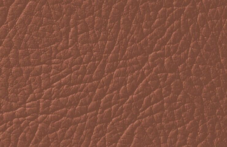Емаль для фарбування шкіри Leather Expert Colourant 100 г 306 Mocha Brown