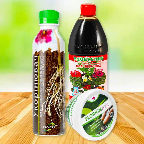 Комплект швидке зростання Florium для багаторічників