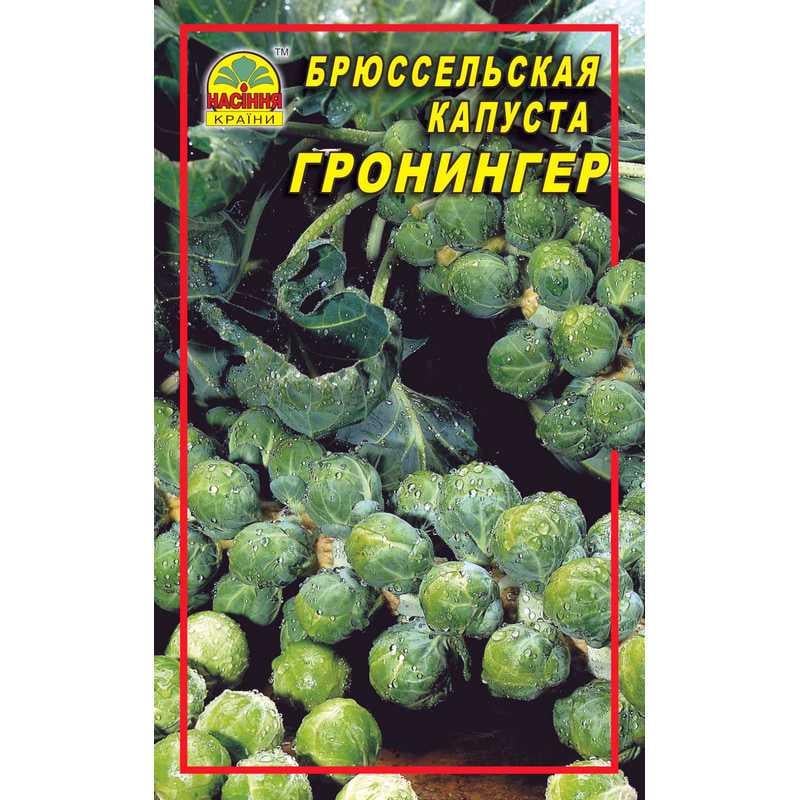 Насіння капусти брюссельської Гронінгер 0,3 г (1328145203)
