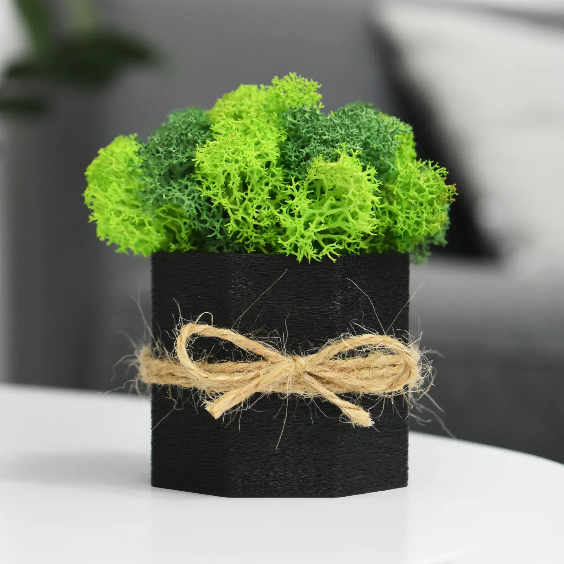 Кашпо Jungle со стабилизированным мхом Черный/Зеленый/Салатовый (KM-C-2)