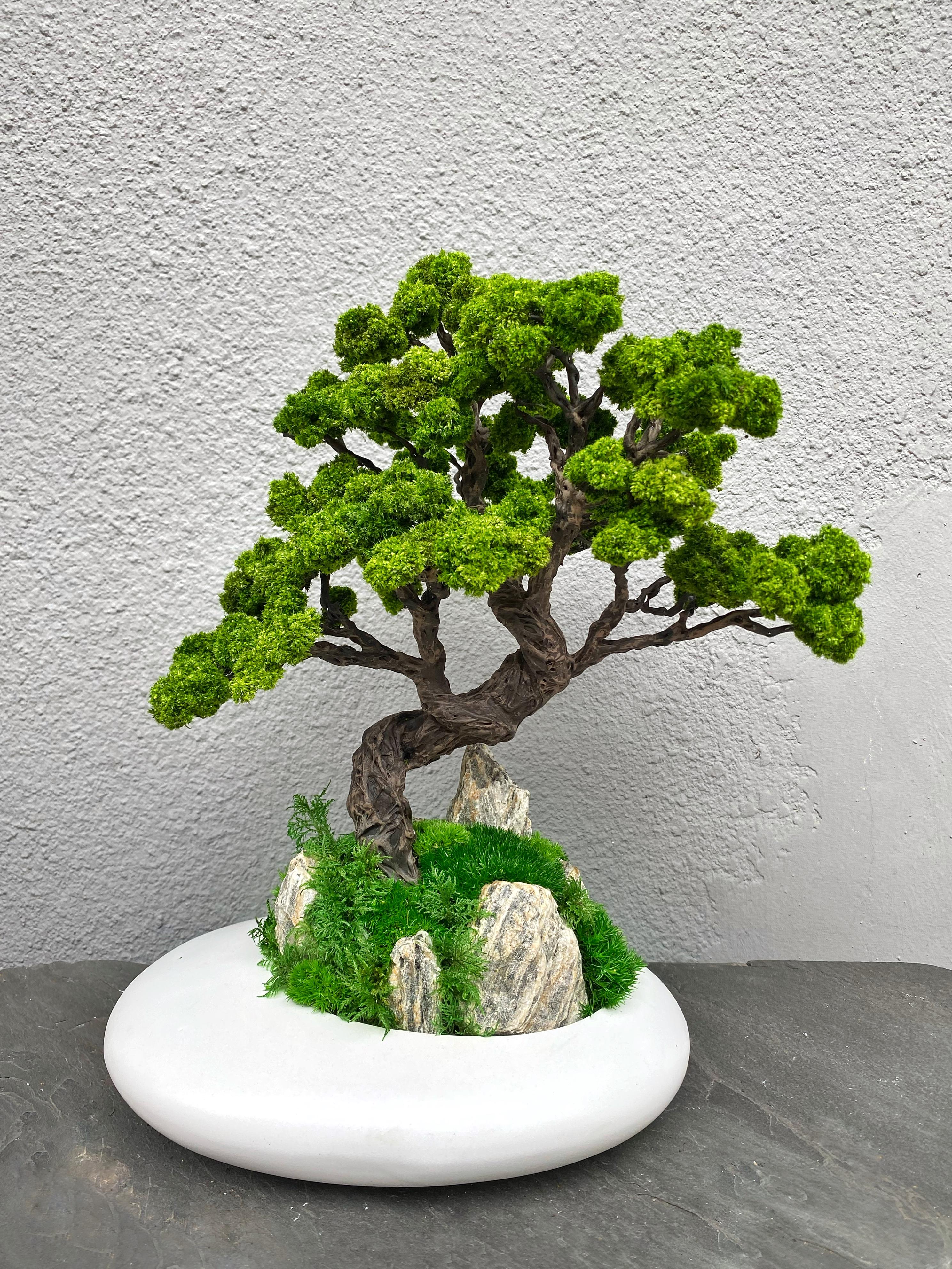 Композиция Magic Gardens Бонсай на скалах со стабилизированными растениями 30 см (12524)