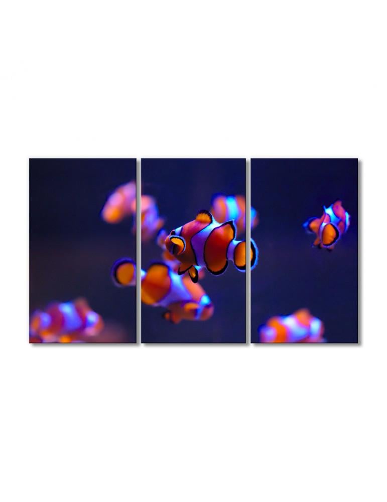 Картина модульная Рыбки неоновые 3 модуля 90x135 см