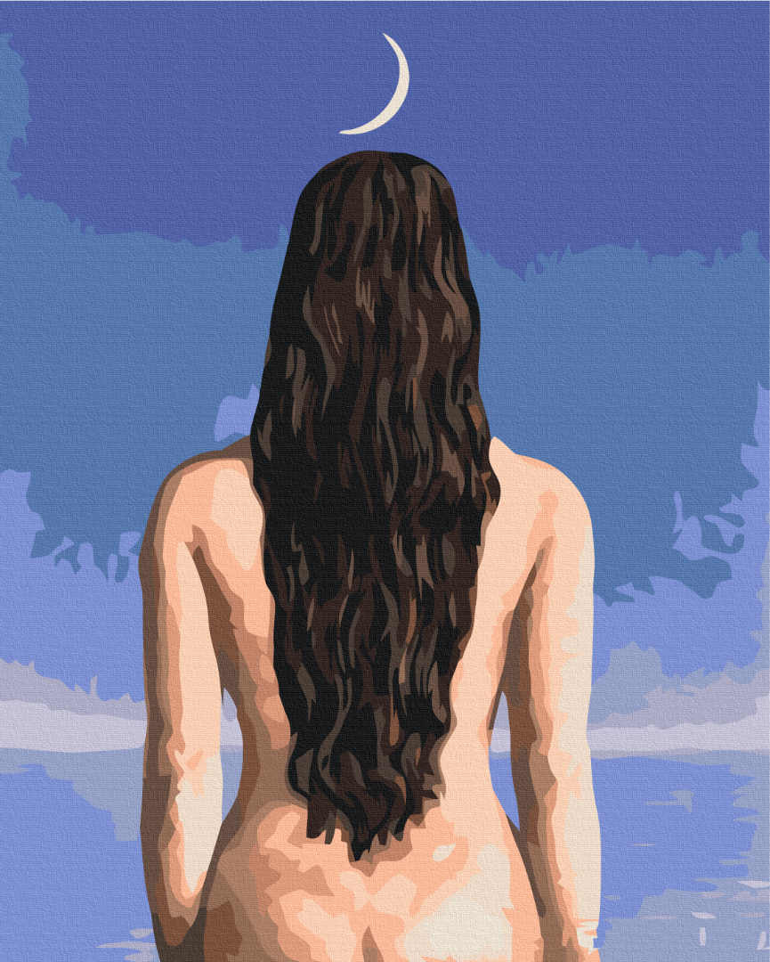 Картина по номерам Brushme Премиум Вечернее платье 40x50 см (PBS52408)