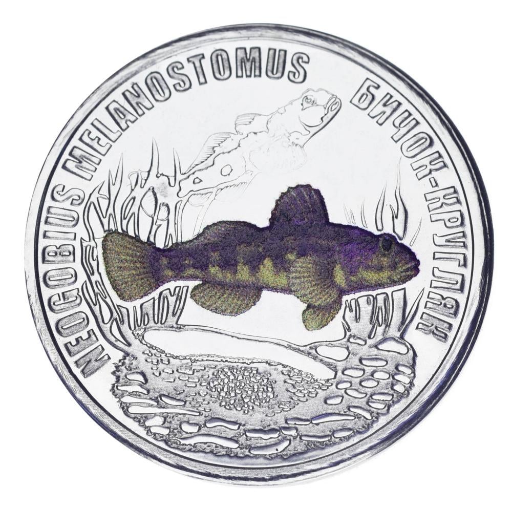 Колекційна монета Україна 5 карбованців 2026 UNC Жителі морських глибин-Бичок-кругляк (М24223)