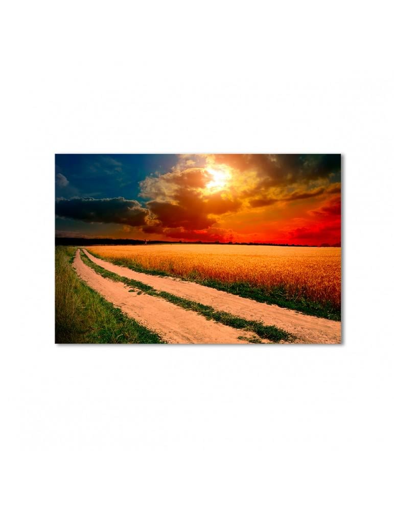 Картина модульная Солнце над пшеничным поле 1 модуль 60x90 см (013256Pejzazh)