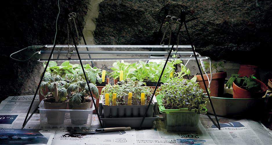 LED лампа для роста растений Nelson Garden 85 см (400022) - фото 4