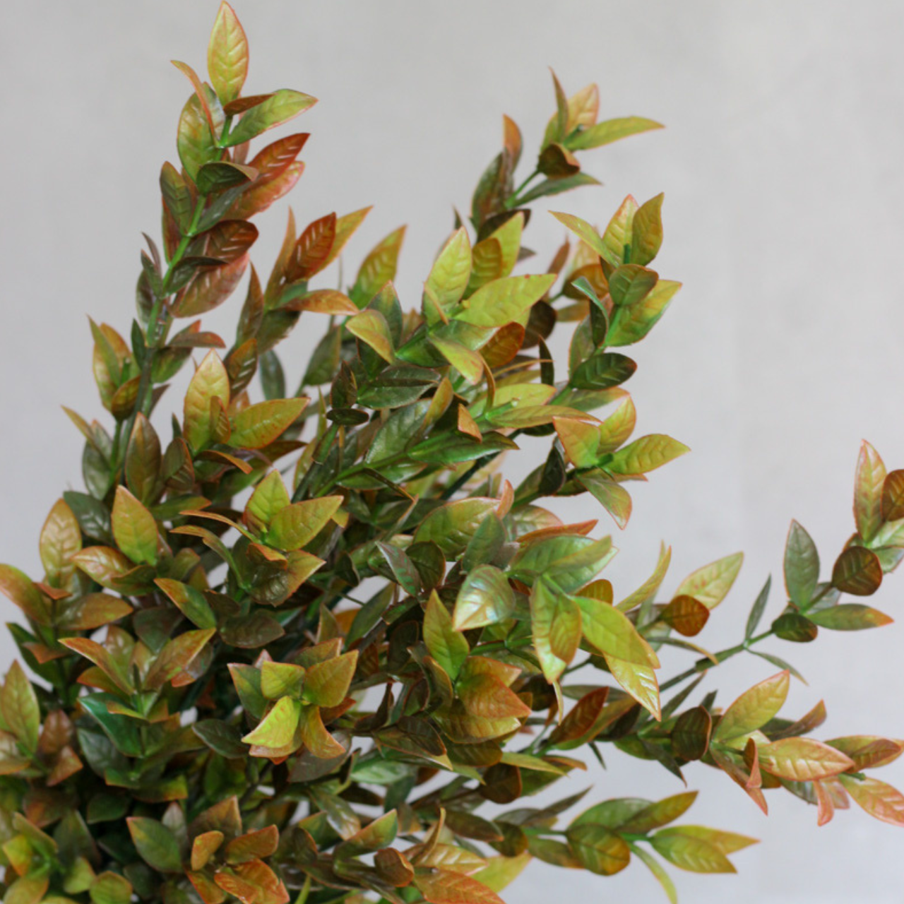 Штучна гілка Самшит 60 см Охра (2560461348) - фото 2 Штучна гілка Самшит 60 см Охра (2560461348) - фото 2