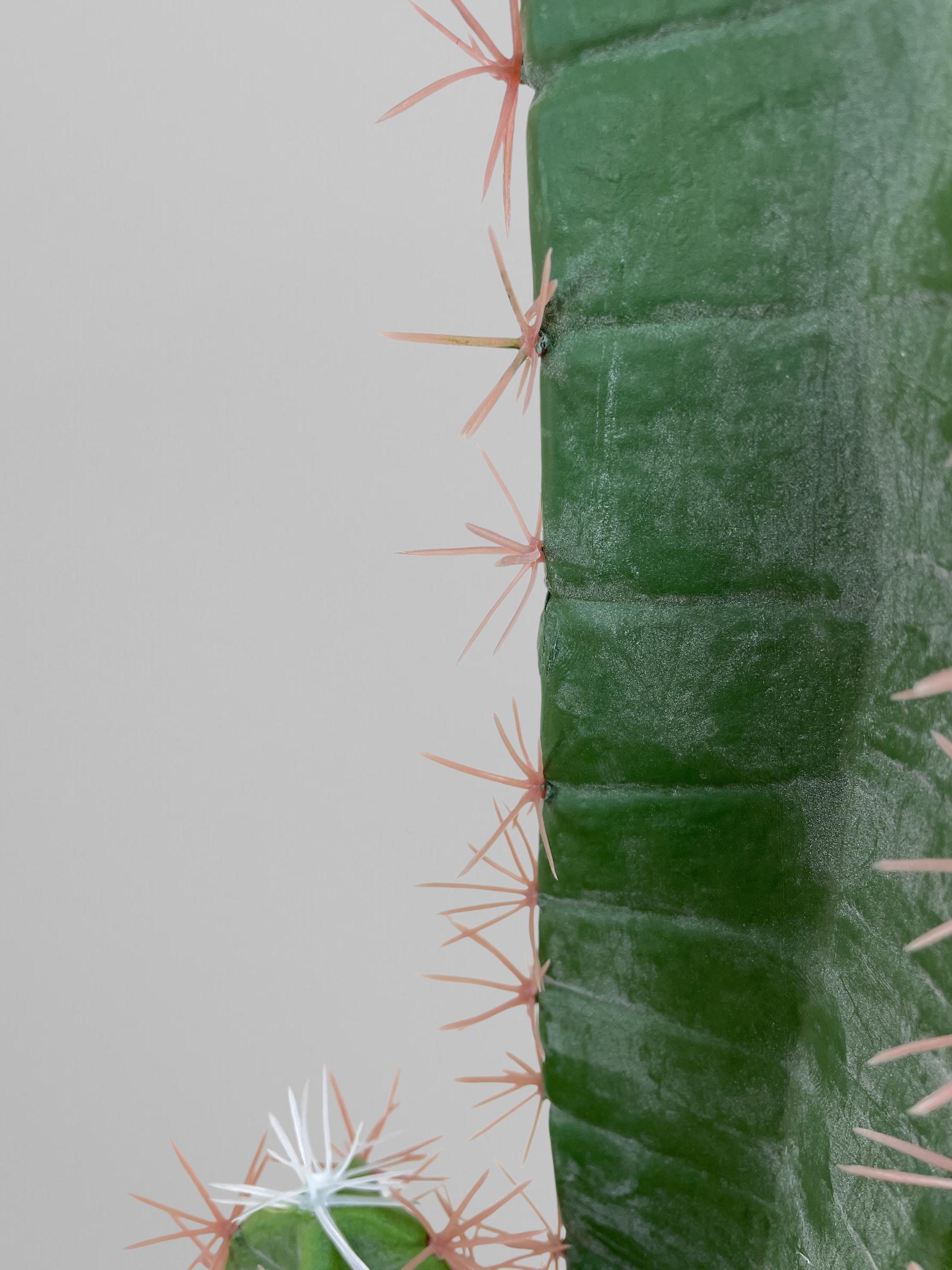 Искусственный кактус 186 см Зеленый (Р06009) - фото 6 Искусственный кактус 186 см Зеленый (Р06009) - фото 6