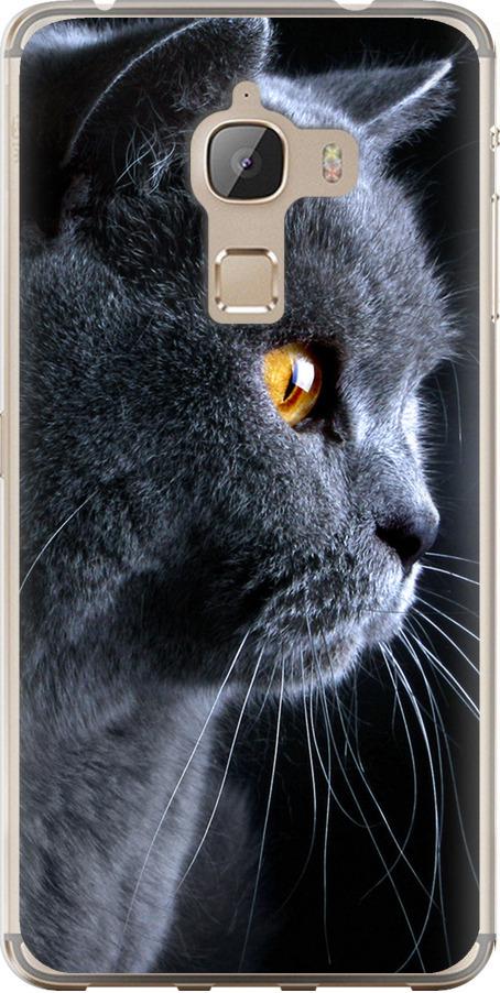 Чехол на LeTV Max X900 Красивый кот (3038u-381-42517)
