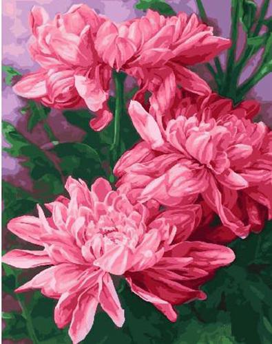 Картина по номерам Коралловые пионы 40x50 см (BRM23053)