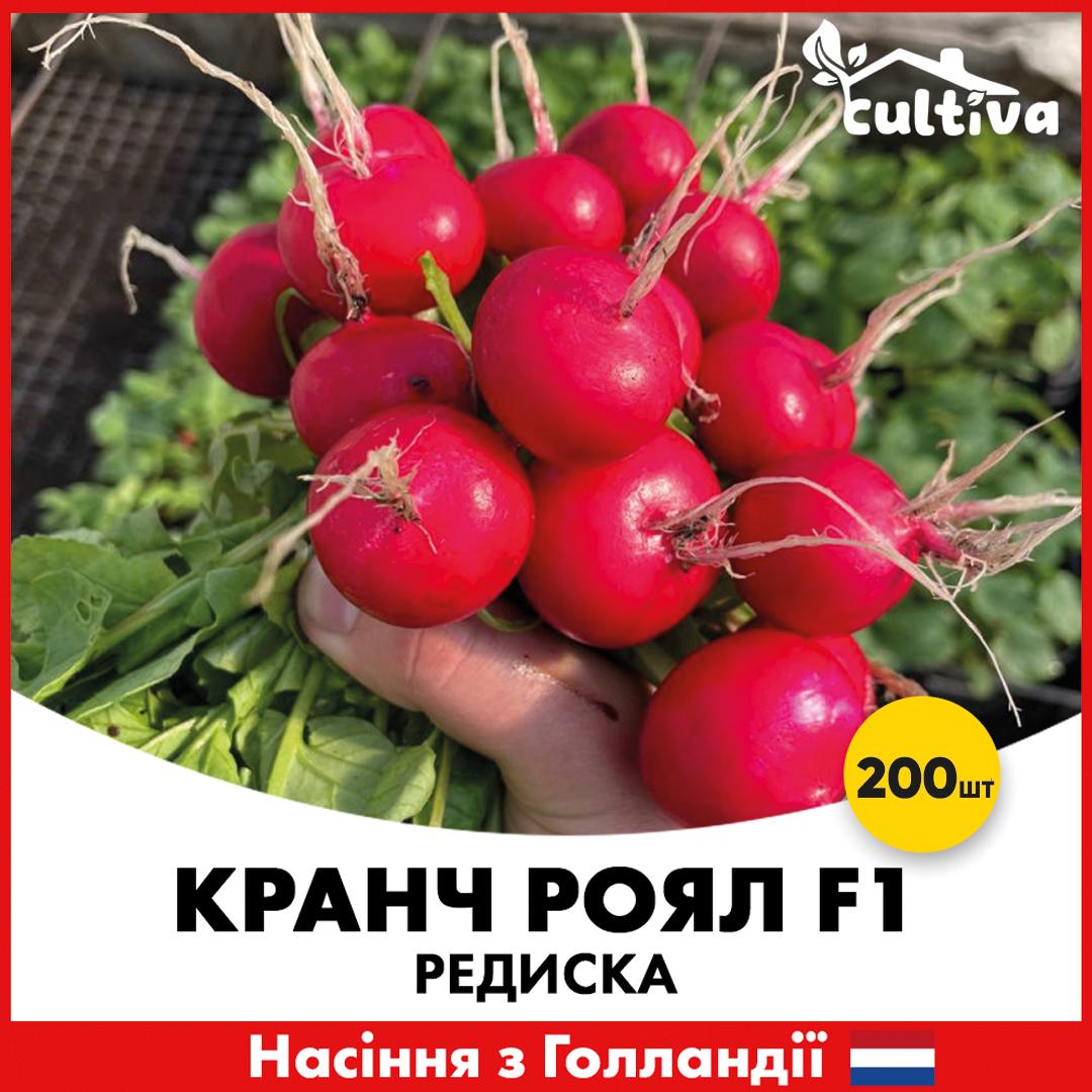 Насіння редисуки Sakata Кранч Роял F1 200 шт. (R50223-200)
