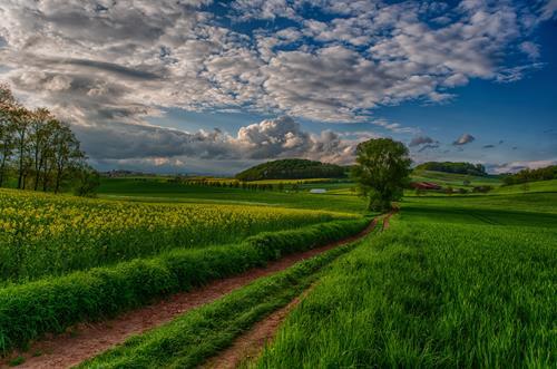 Картина на холсте Природа 55х85 см (PR271L)