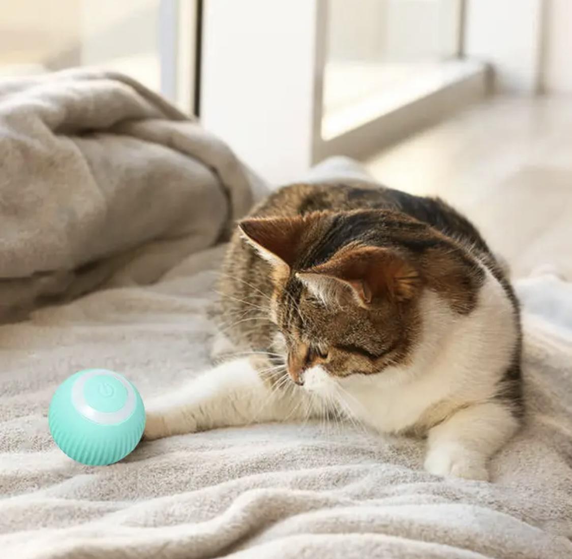 М'яч для котів/кошенят Smart-Ball - фото 8