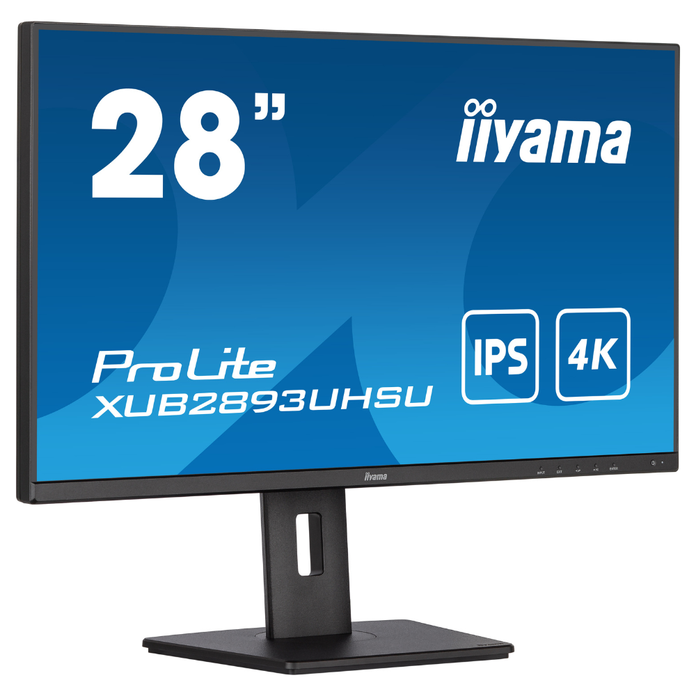 Монитор Iiyama XUB2893UHSU-B5 (12273480)