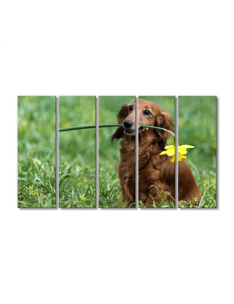 Картина модульная Такса с нарциссом 5 модулей 90x135 см