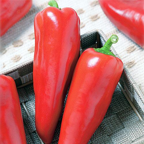 Семена Перець Florium Маринкін ​​язичок (17126)