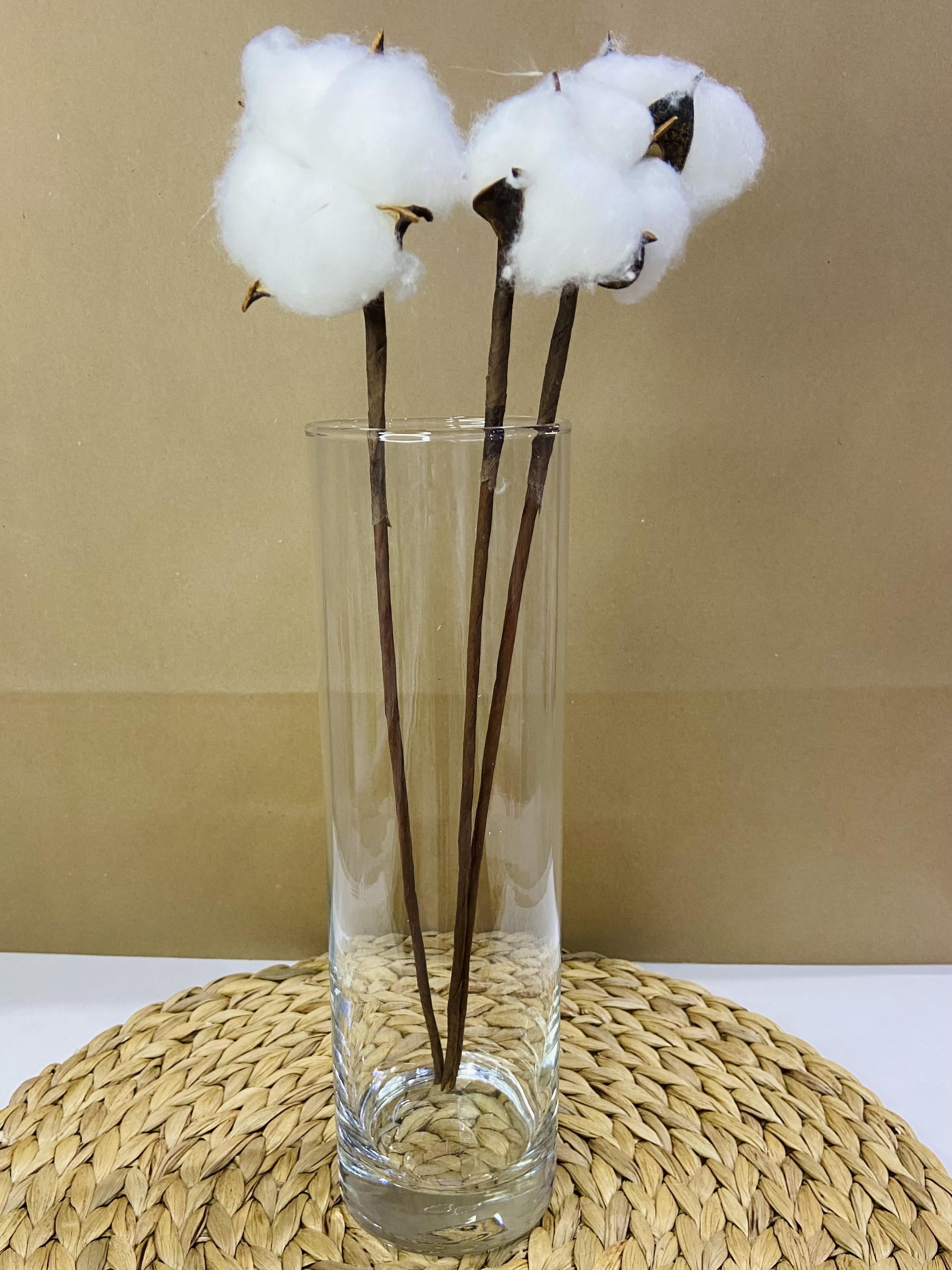 Ваза стеклянная Флора цилиндр 26,5 см (12409459)