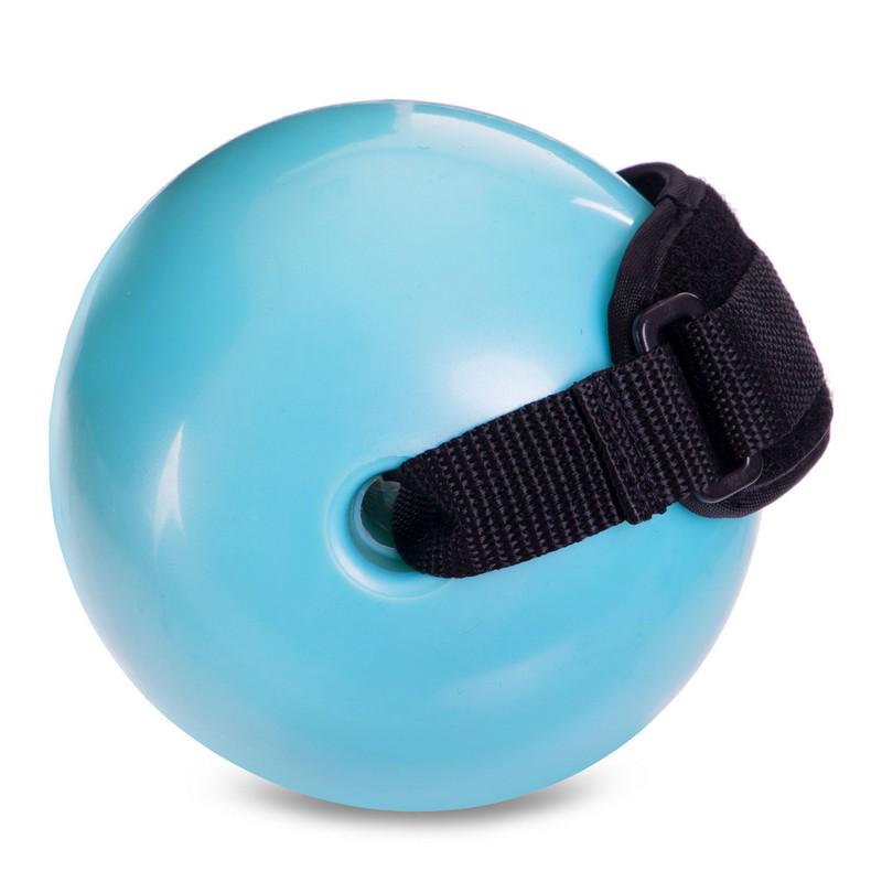 Мяч утяжеленный с манжетом Zelart Pro-Supra Weighted Exercise Ball 030-1LB 11см Голубой (DR003700) - фото 5