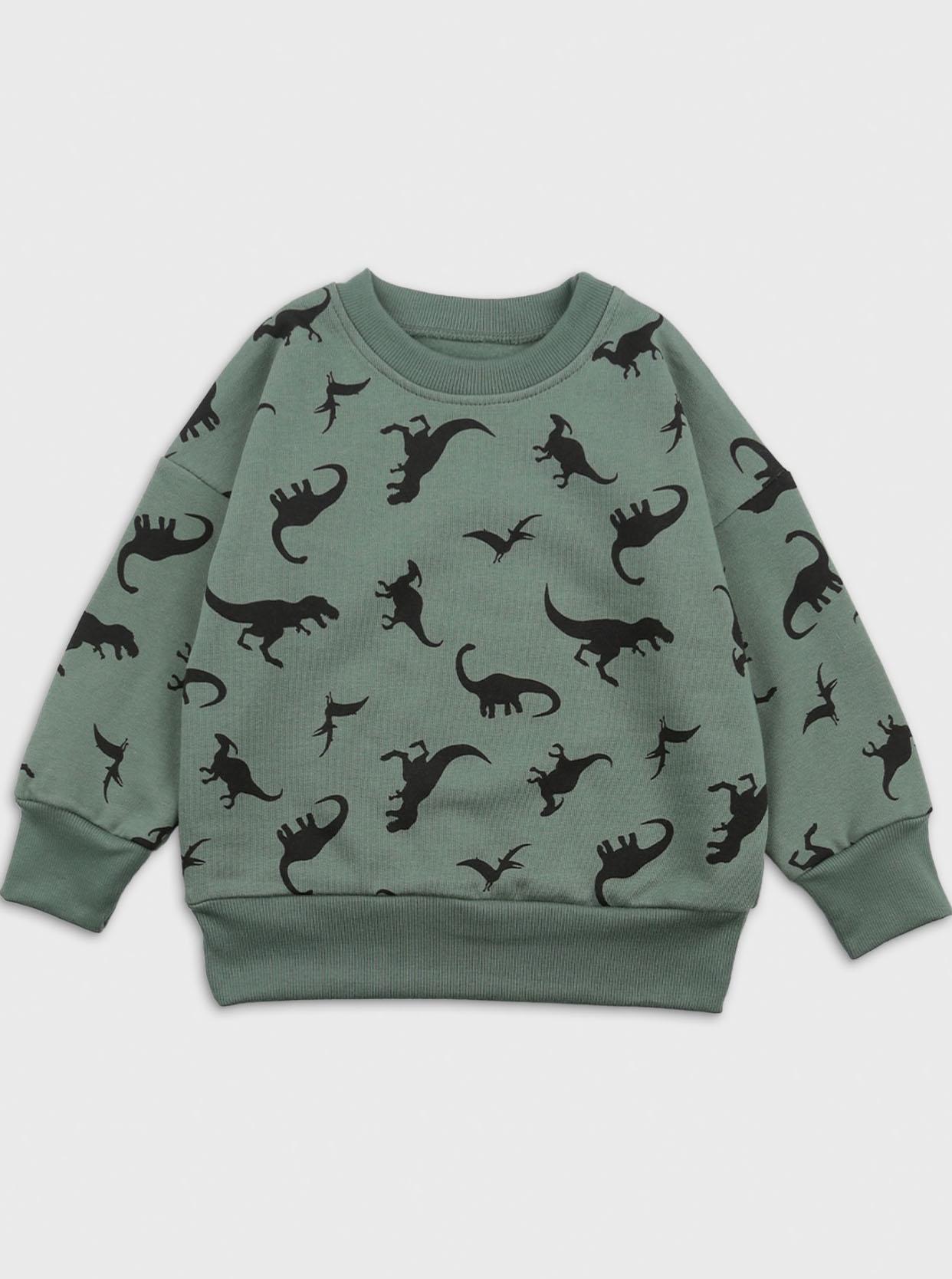 Світшот для хлопчика утеплений Flamingo Динозавр 870-310 140 см Зелений