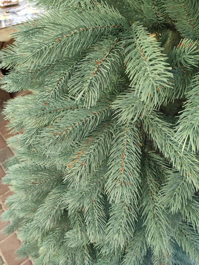 Штучна ялинка лита Буковельська з підставкою 1,8 м Зелений (NYT15308) - фото 12 Штучна ялинка лита Буковельська з підставкою 1,8 м Зелений (NYT15308) - фото 12