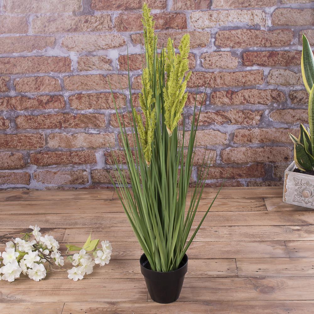 Травка зеленая в горшке