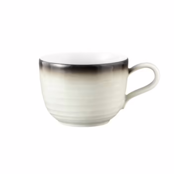 Чашка для кофе Seltmann Weiden Corso Terra 260 мл (2623301)