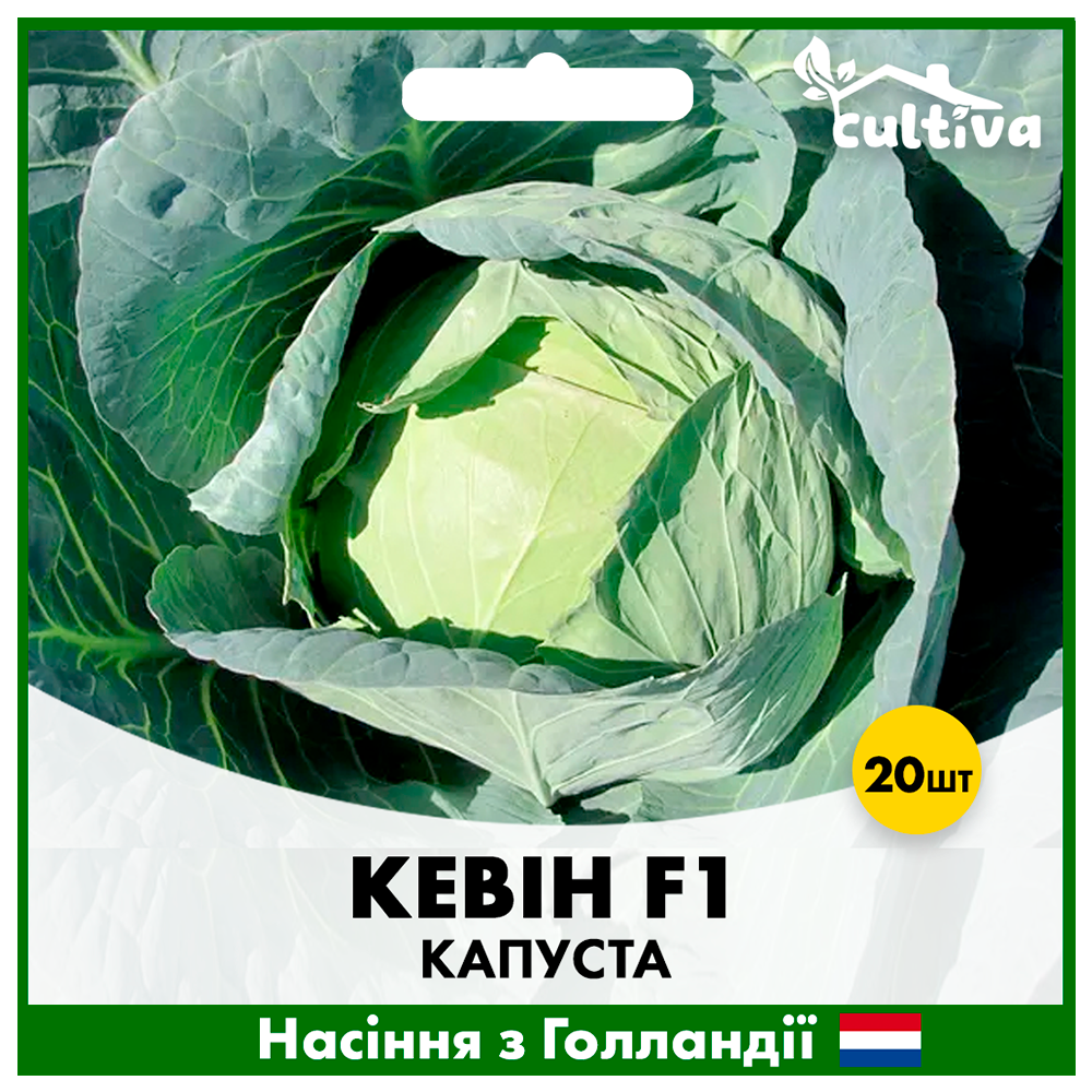 Семена капусты Syngenta Кевин F1 20 шт. (K8)