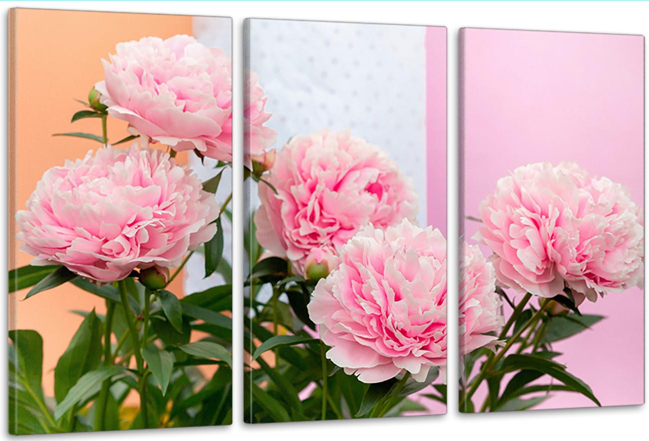 Картина модульная в гостиную/спальню Розовые пионы 100х150 см (ART-244_3A)