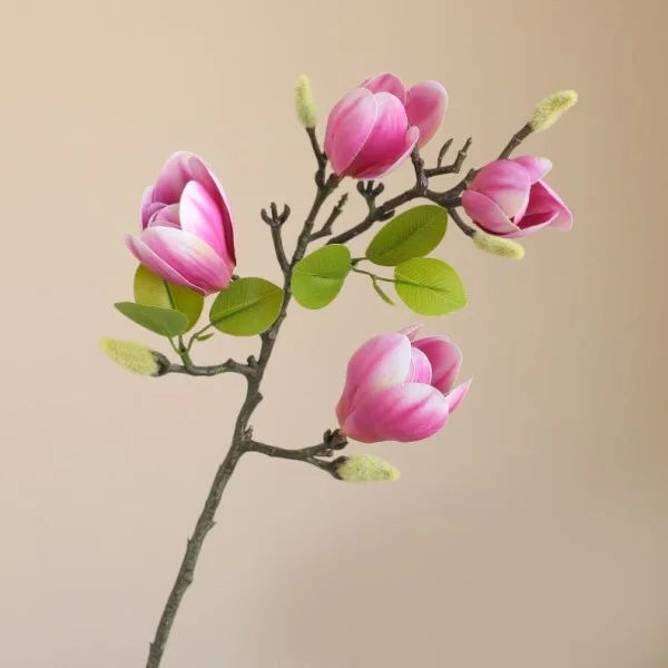 Ветви магнолии декоративные 3 шт. (G00028) - фото 9 Ветви магнолии декоративные 3 шт. (G00028) - фото 9
