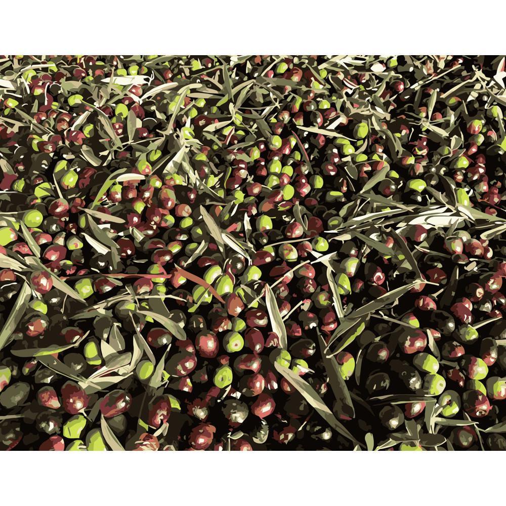 Картина по номерам Strateg Премиум Сочный кизил 40х50 см (DY123)