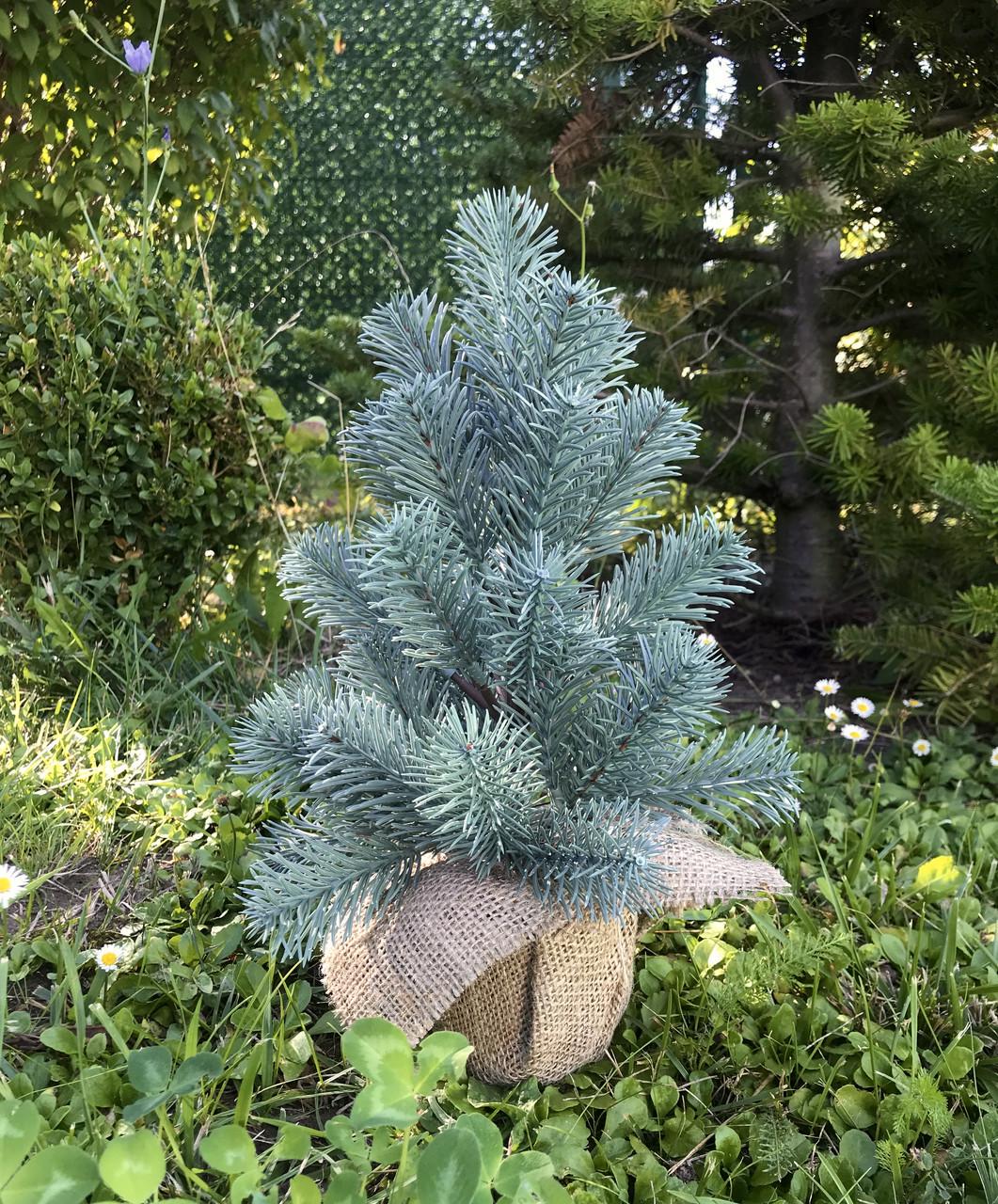 Штучна ялинка лита HVOYA SGH Premium в мішковині 35 см Блакитний (1942962208) - фото 3 Штучна ялинка лита HVOYA SGH Premium в мішковині 35 см Блакитний (1942962208) - фото 3