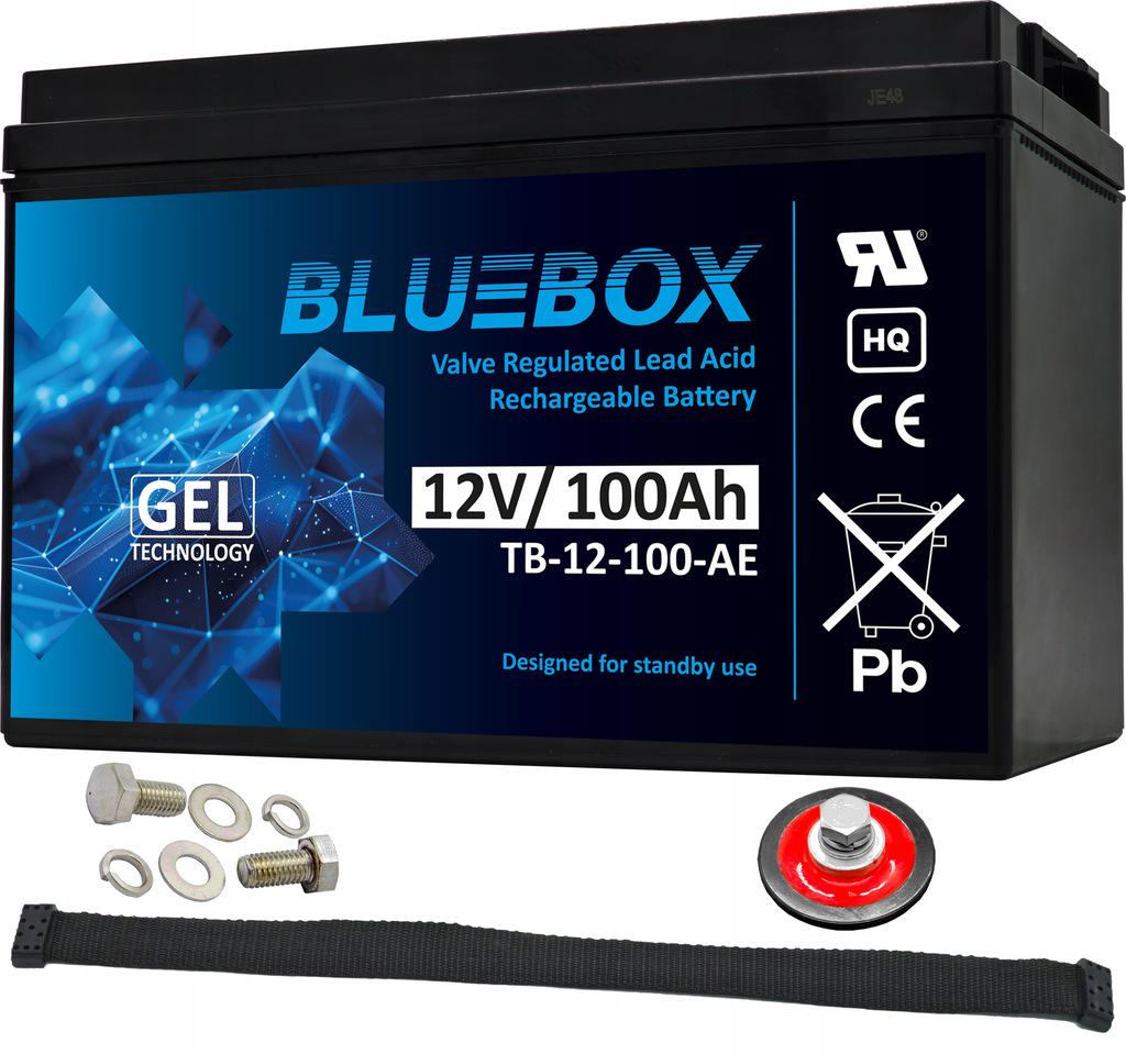 Аккумулятор гелевый Bluebox GEL 12V 100 Ah VRLA (54384)