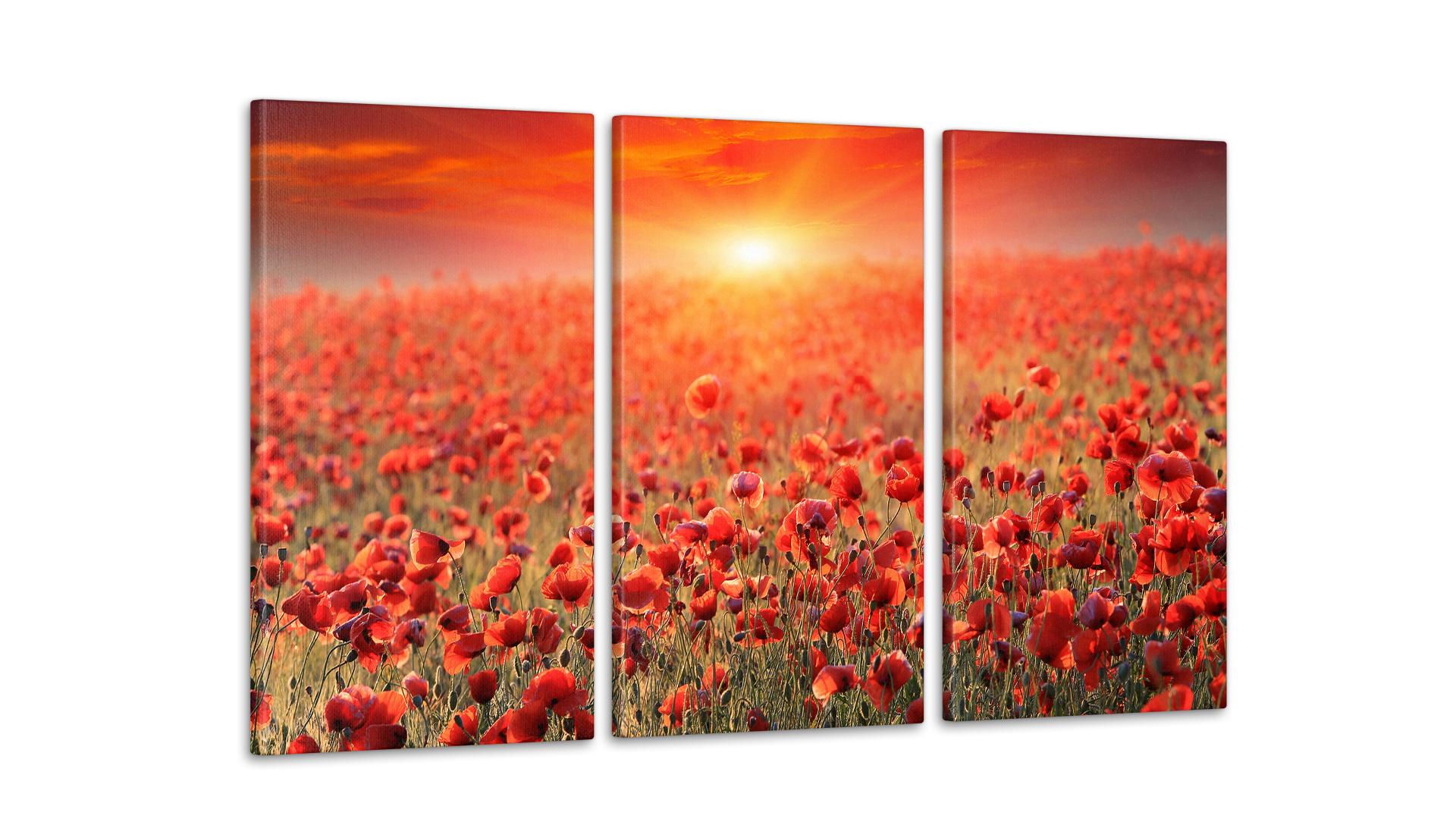 Модульная картина Природа Маки 53x100 см (Art-65_3А)