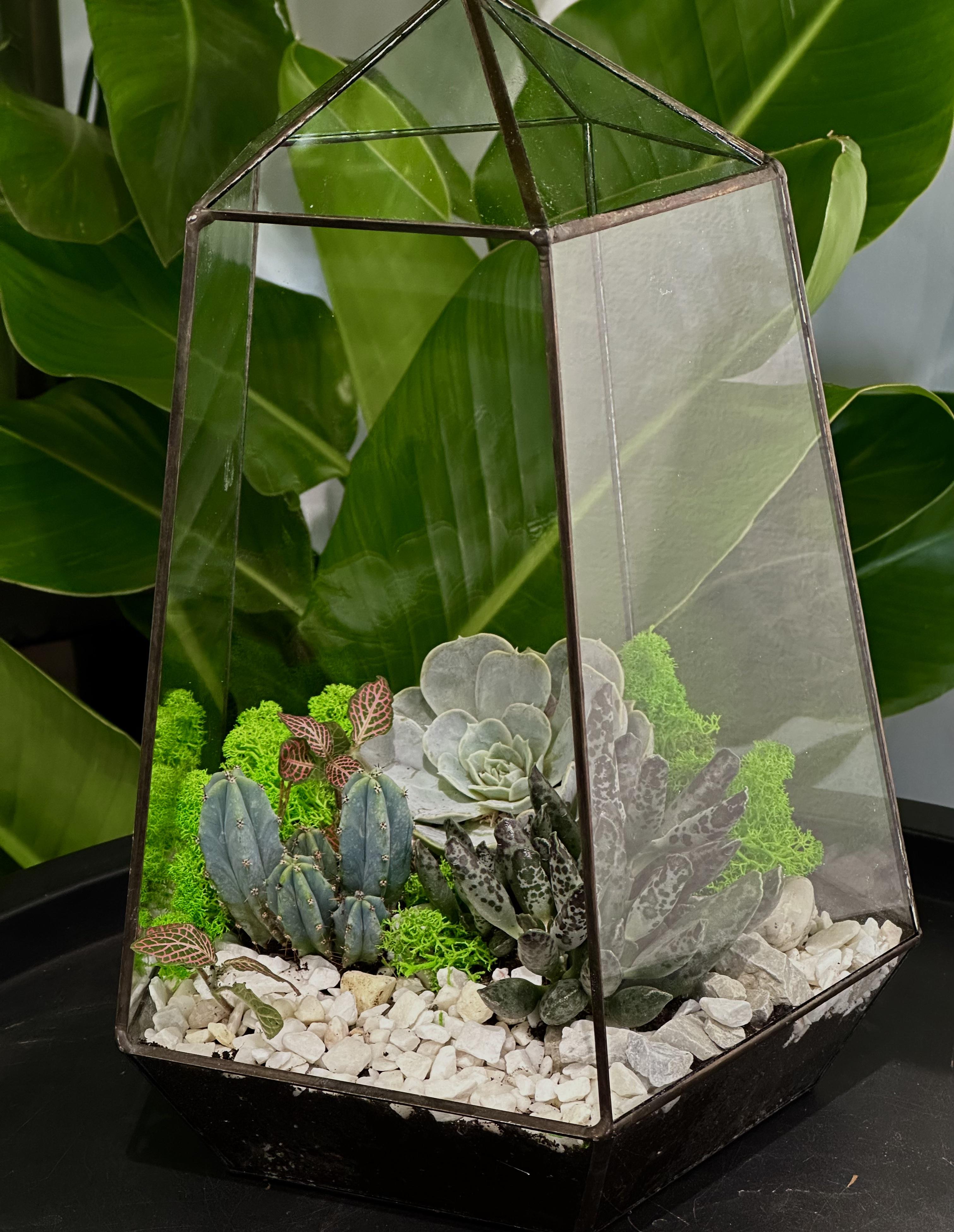 Флораріум з сукулентами Plants room 30 см (17919924)