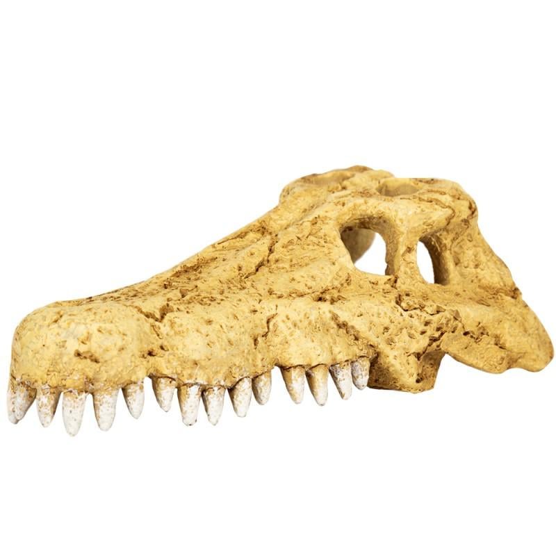 Череп крокодила Repti-Zoo Crocodile Skull M 18x10x5,5 см (ERS34M)