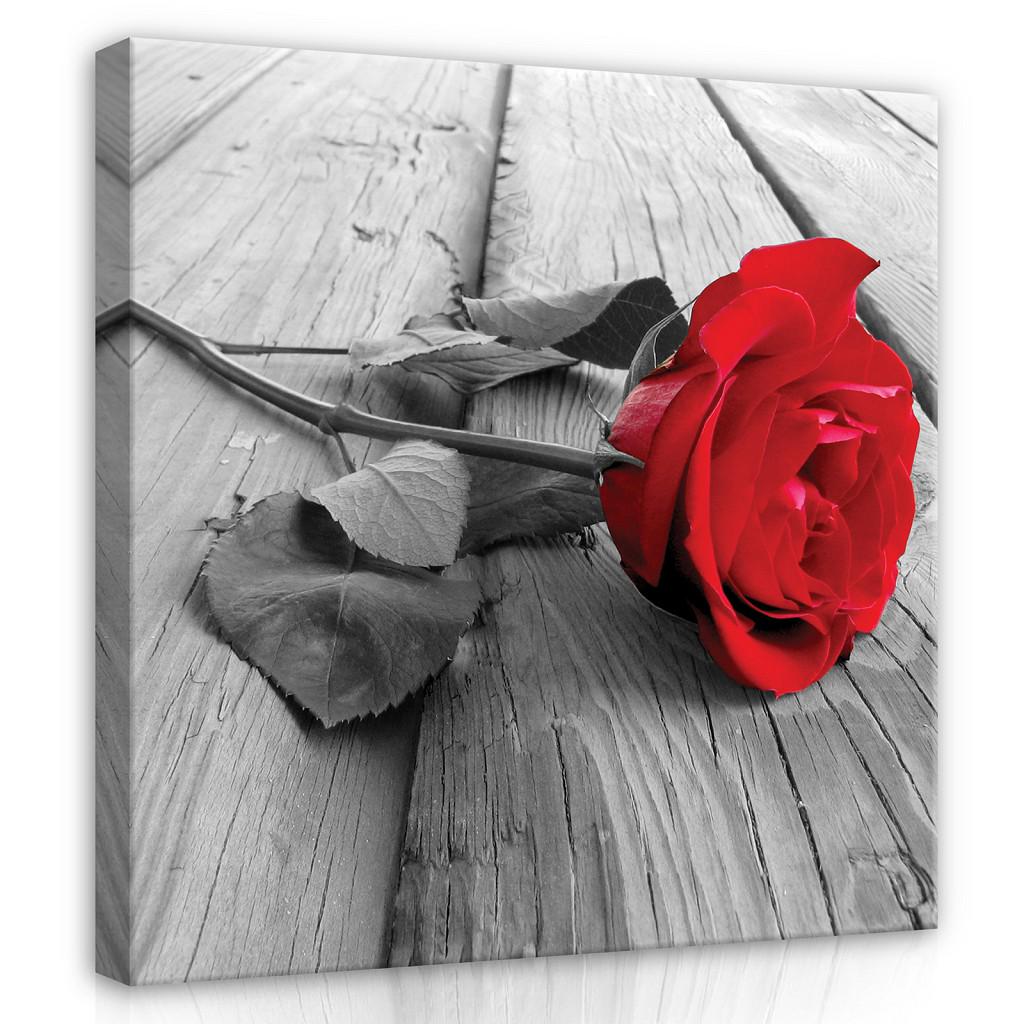 Картина на холсте 30х30 см Consalnet Роза на досках (PP2544O9)