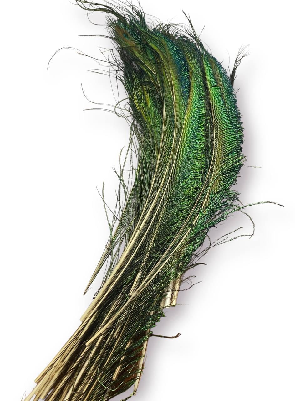 Перья меч павлина 25-30 см 1 шт. (ПР2530п01)