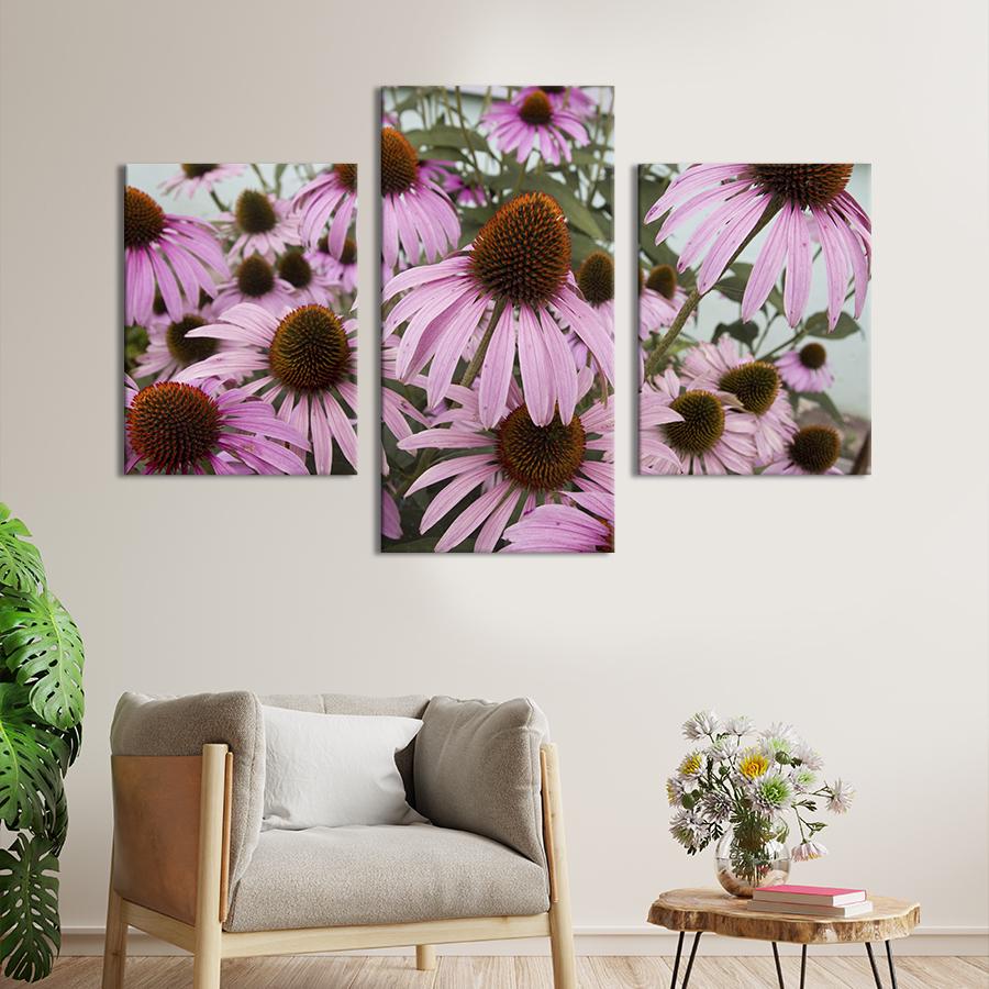 Картина на холсте триптих Красивые цветы эхинацеи 96x60 см (898-32)