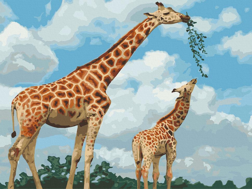 Картина по номерам Art Craft "Грация саванны" 40x50 см (11634-AC)