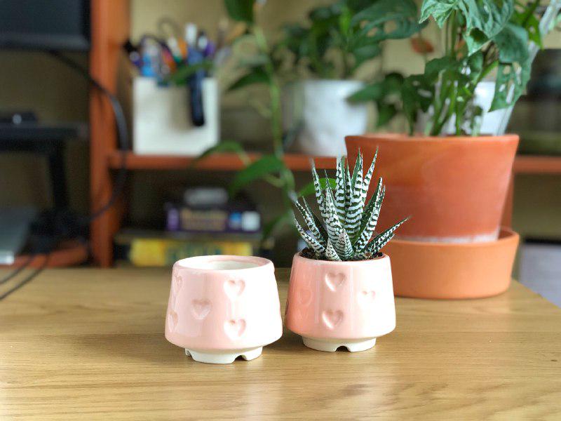 Керамический горшок для суккулентов Mini Plant 6,3х6,4см Арт Сердечки Розовый - фото 2 Керамический горшок для суккулентов Mini Plant 6,3х6,4см Арт Сердечки Розовый - фото 2