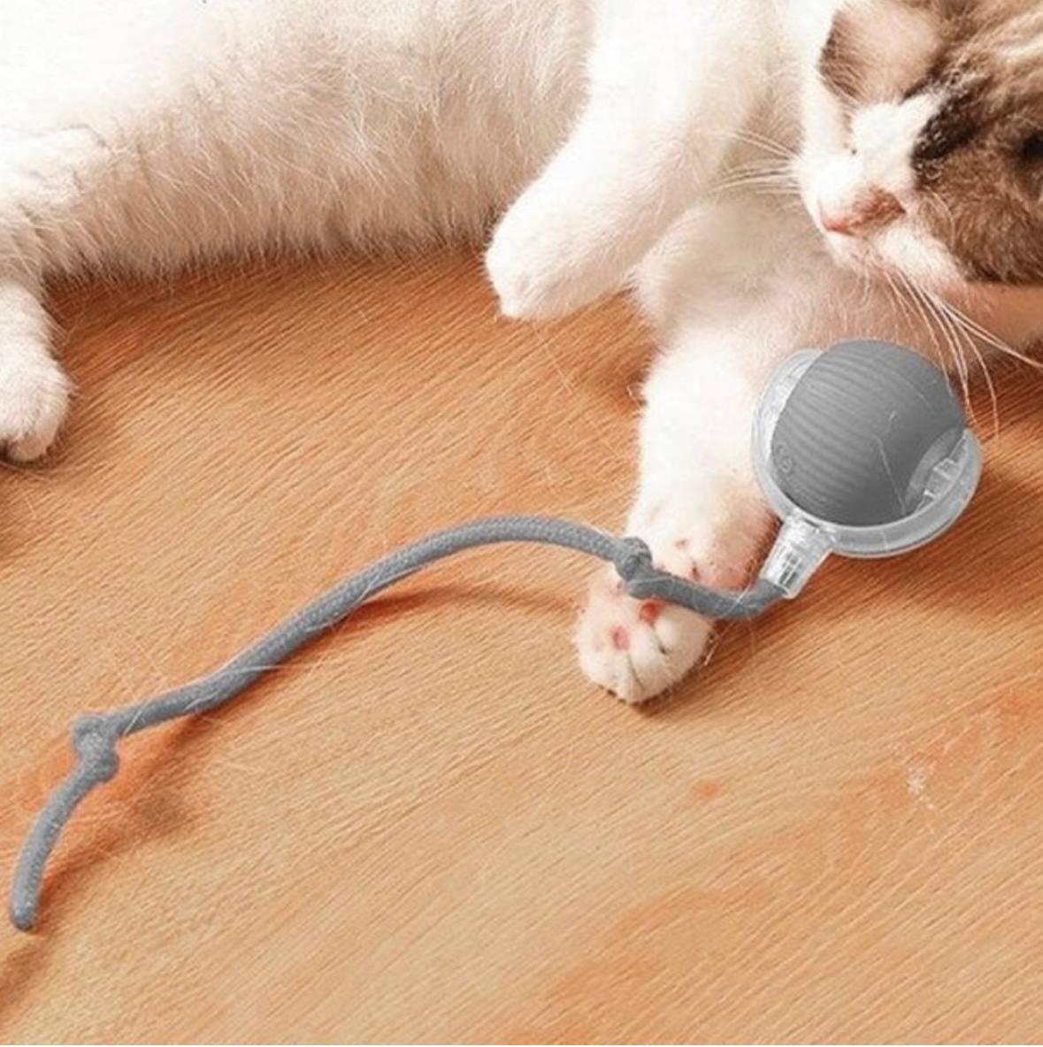 Інтерактивна іграшка для котів CatToy Розумний м'ячик 3 режими (2826289091) - фото 3