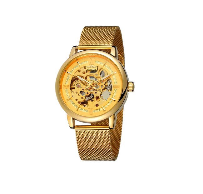 Наручний годинник Forsining 8173 Gold Mesh