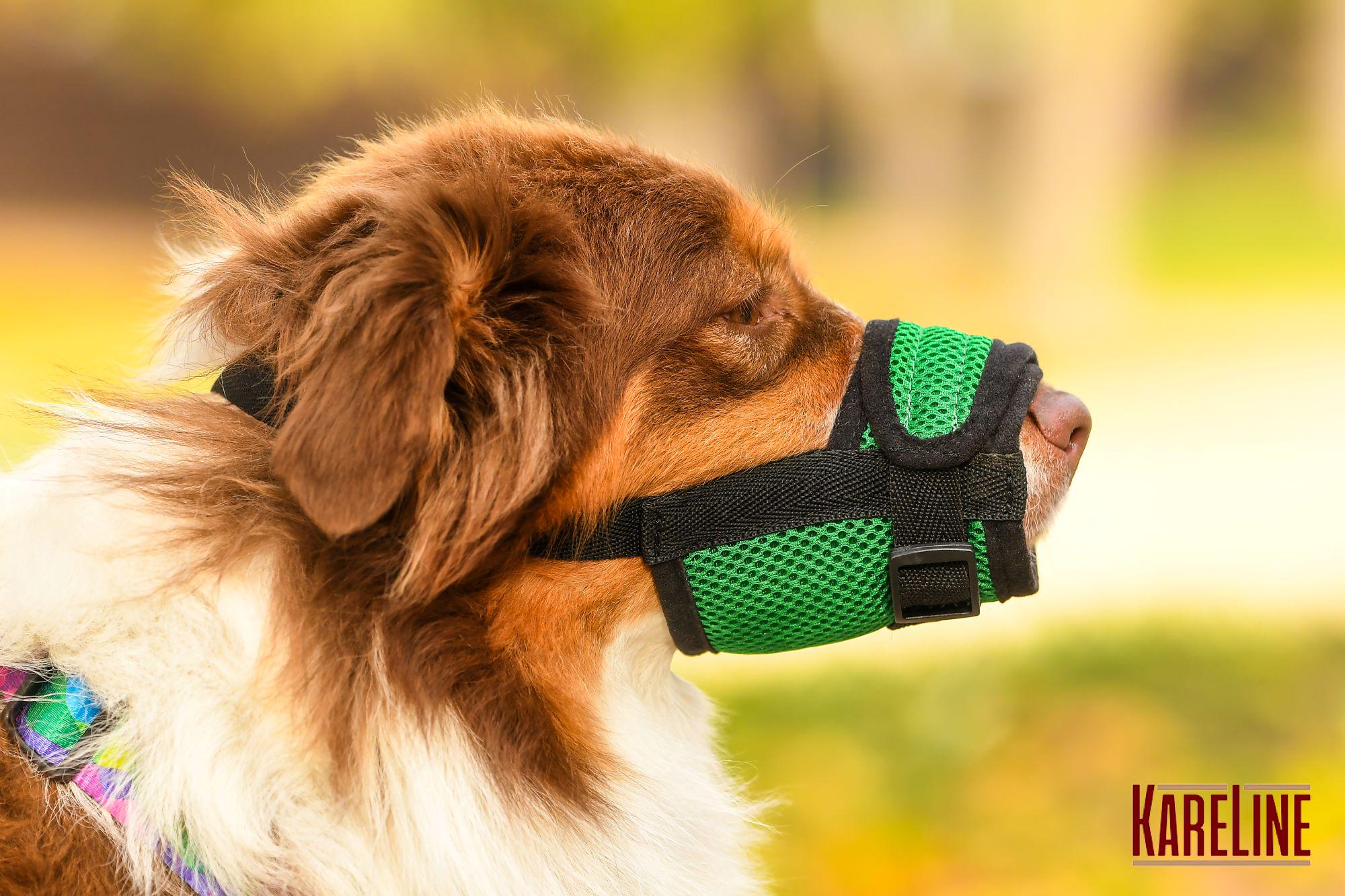 Намордник сетка KareLine из нейлона для йорка XXS (0530/5) - фото 2 Намордник сетка KareLine из нейлона для йорка XXS (0530/5) - фото 2