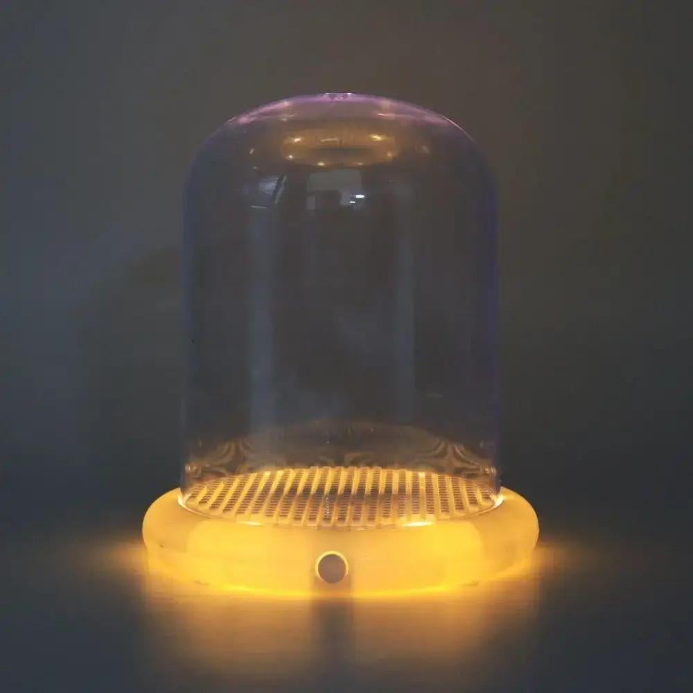 Конструктор-ночник Цветок в колбе с подсветкой Ромашка 550 дет. - фото 3 Конструктор-ночник Цветок в колбе с подсветкой Ромашка 550 дет. - фото 3