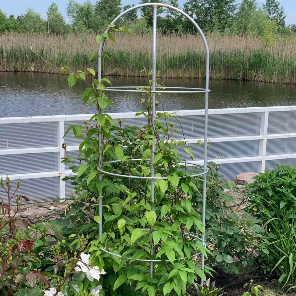 Опора для растений арочно-кольцевая на четыре кольца 2000х500х500 мм (АКО-D16/D8-2000*500/4) - фото 8 Опора для растений арочно-кольцевая на четыре кольца 2000х500х500 мм (АКО-D16/D8-2000*500/4) - фото 8