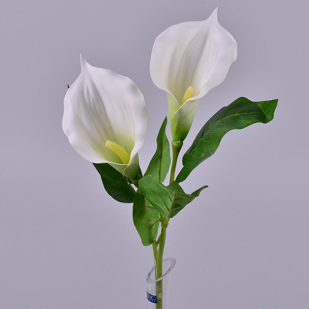 Калла пенка белая