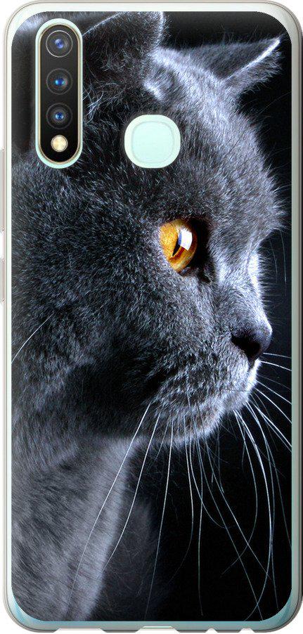 Чехол на Vivo Y19 Красивый кот (3038u-630-42517)